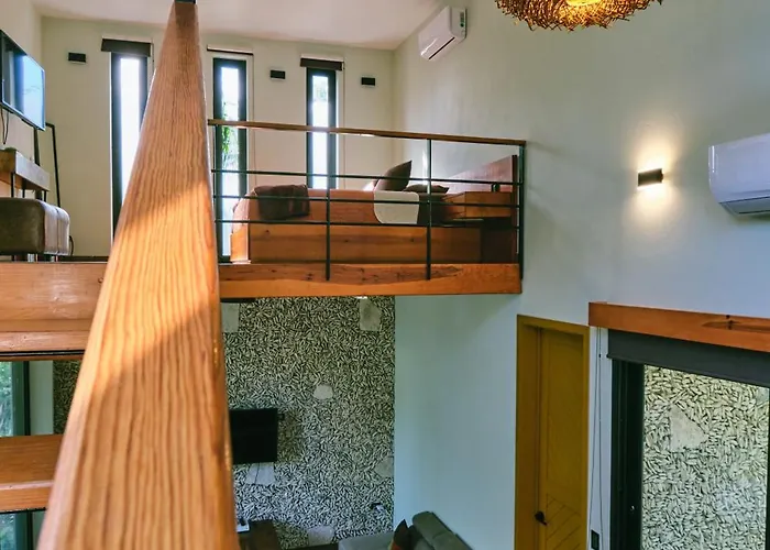 Villa Zamna - Jungle