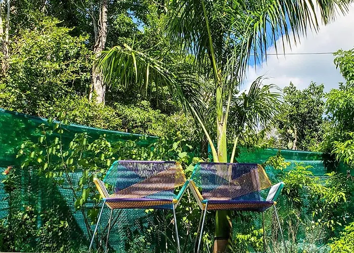 Zamna - Jungle * Cozumel