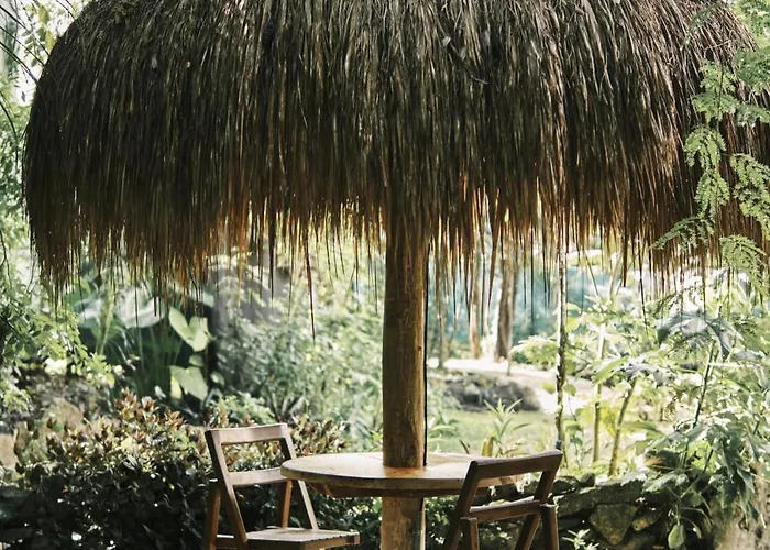 Villa Zamna - Jungle *