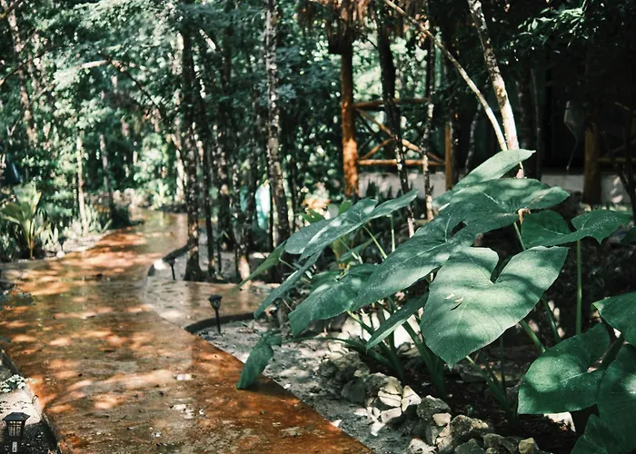 Zamna - Jungle *