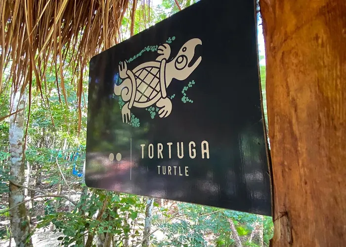 Villa Zamna - Jungle *