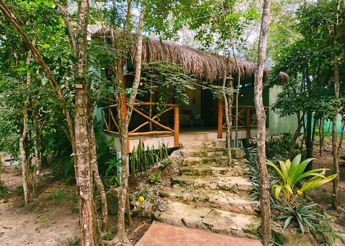 Villa Zamna - Jungle
