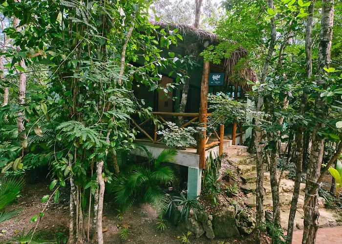 Villa Zamna - Jungle *