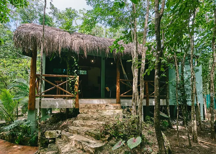 Zamna - Jungle
