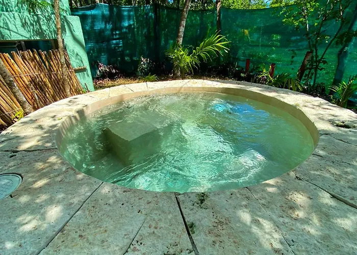 Zamna - Jungle Cozumel