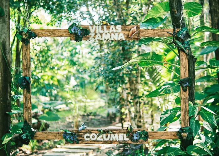 Zamna - Jungle *