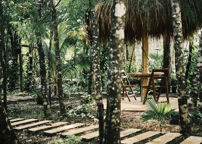 Zamna - Jungle