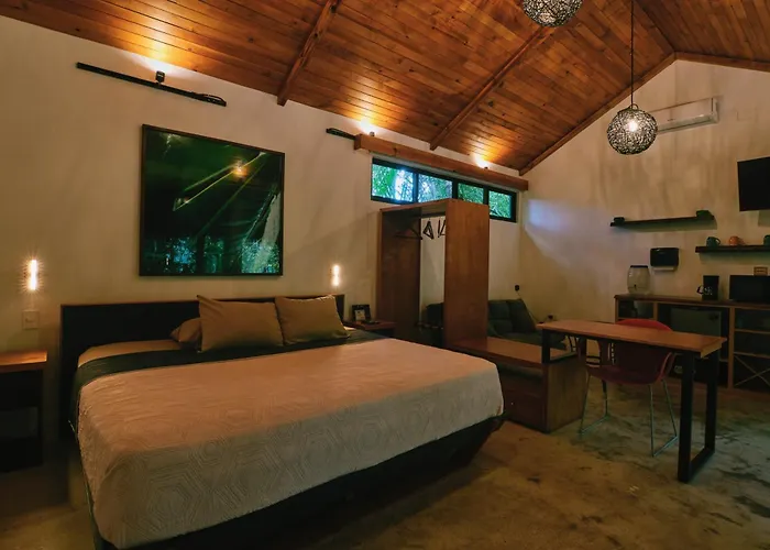 Zamna - Jungle Cozumel