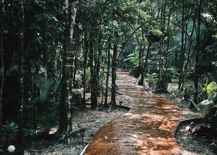 Zamna - Jungle * Cozumel