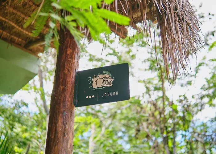 Zamna - Jungle *