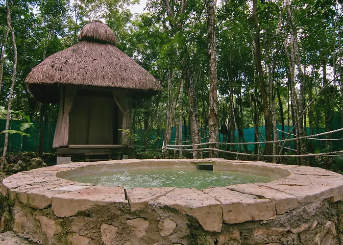 Zamna - Jungle