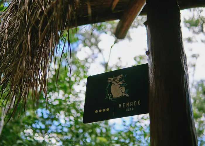 Villa Zamna - Jungle Cozumel