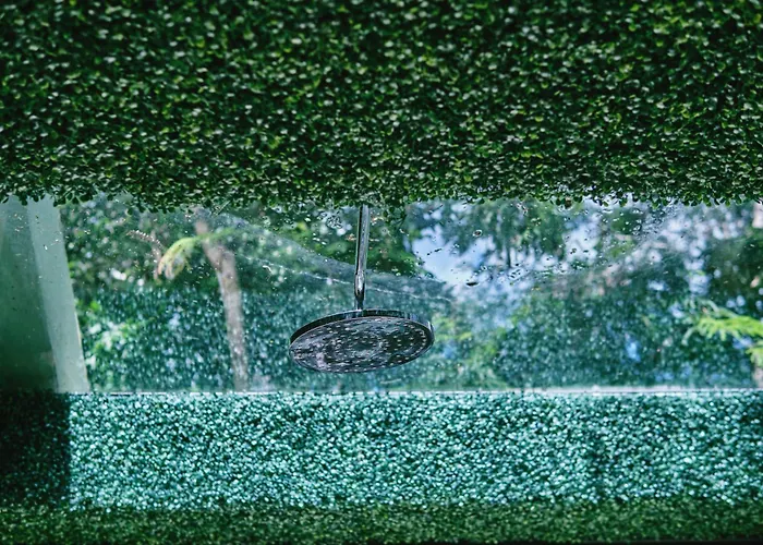 Zamna - Jungle *