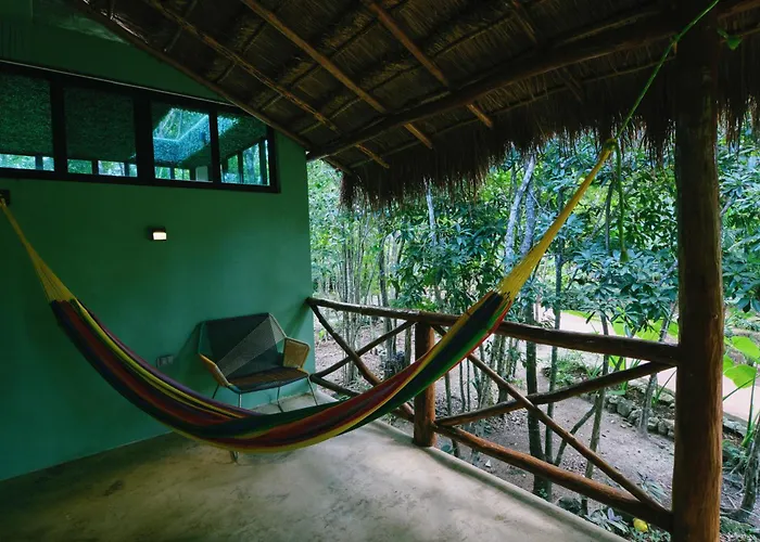 Villa Zamna - Jungle *